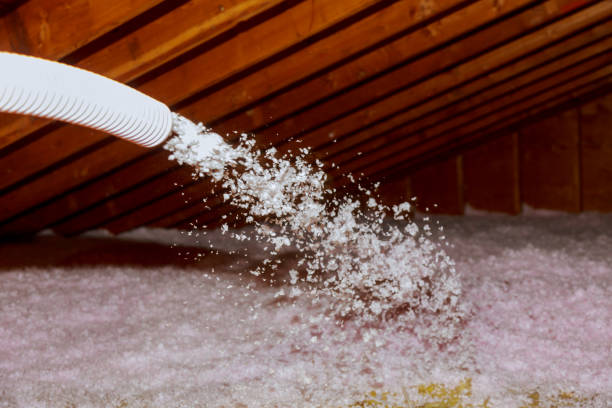 Best Insulation Maintenance and Repair in South Plainfield, NJ